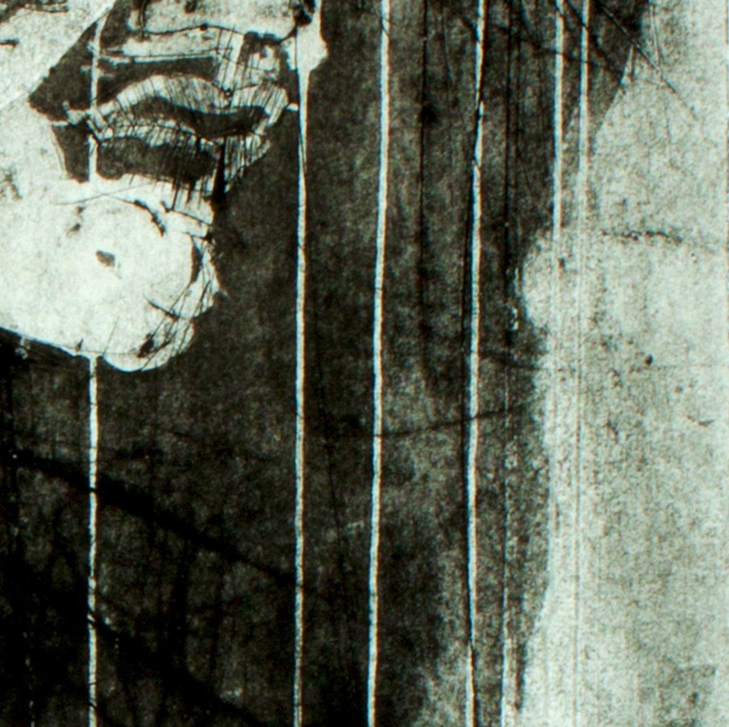 capitulum-quintum