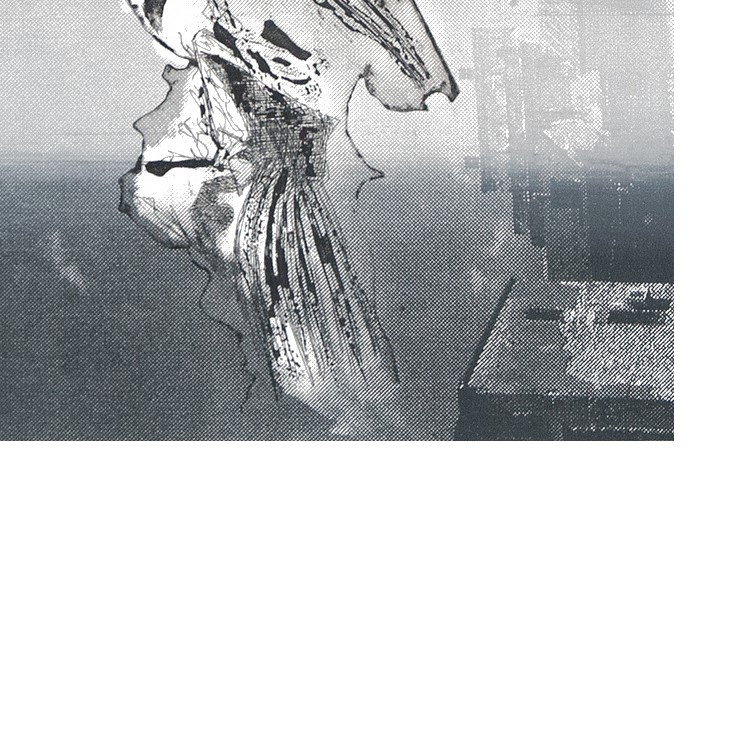 event-horizon6