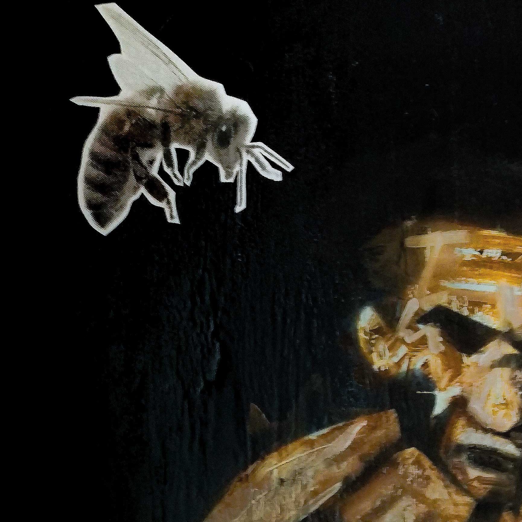 sting-like-a-bee
